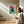 Kunstplakat - Live life in full bloom