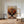 Lærredstryk - Live life in full colour